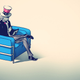 Illustration for article titled The Governments Gadget Habit Has Cost You Hundreds of Millions